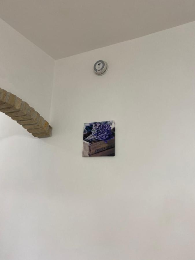 Fringiuli House Apartment Тревиняно Романо Екстериор снимка